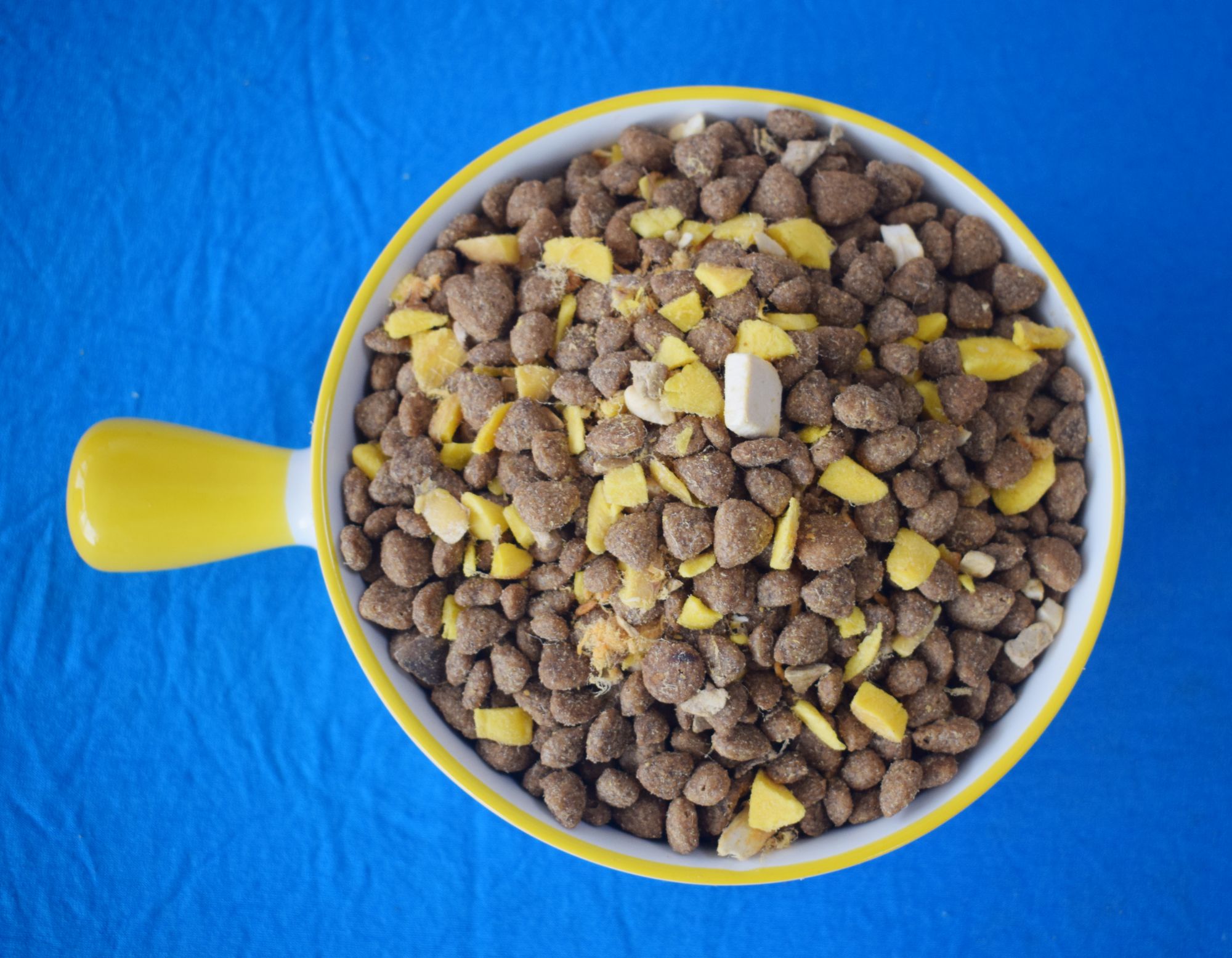 鲜肉猫粮现做现发