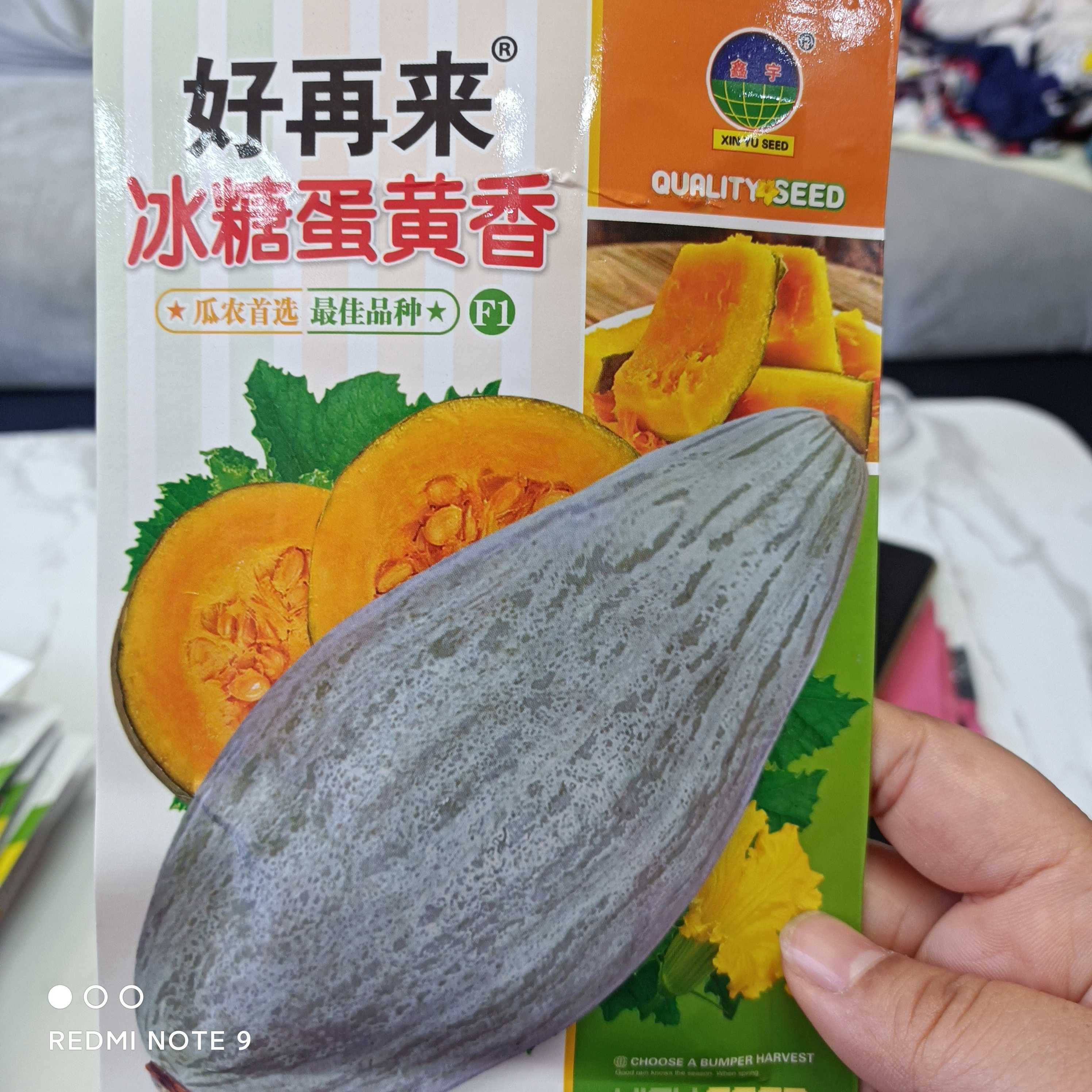 冰糖蛋花香南瓜种子蔬菜