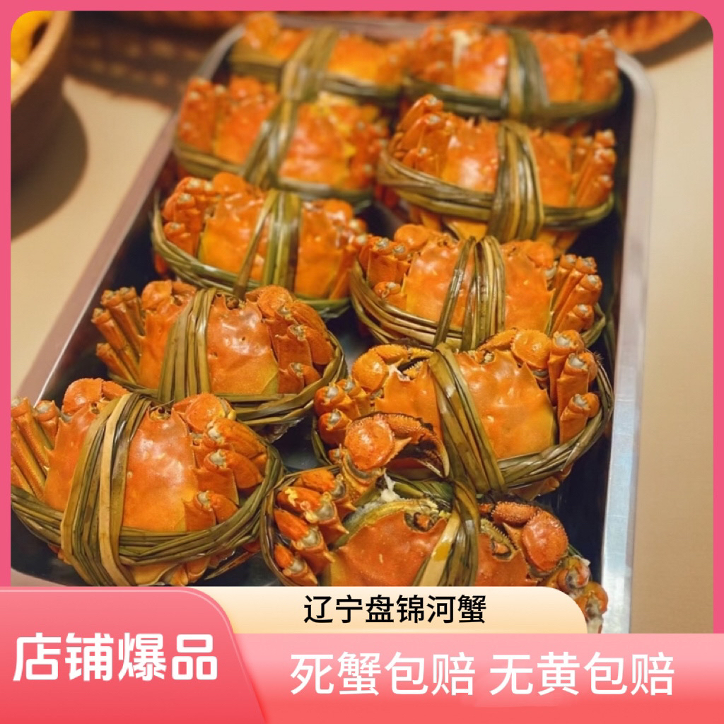 【盘锦母蟹】2两上下 鲜活大母蟹10只绑腿活母蟹送人首选 带礼盒包