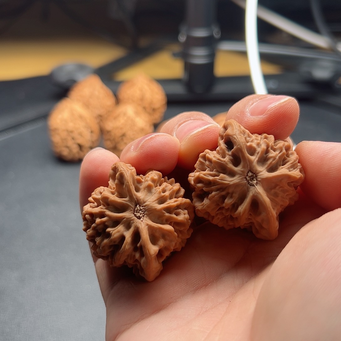 旷*陕西秦岭一代秦闷