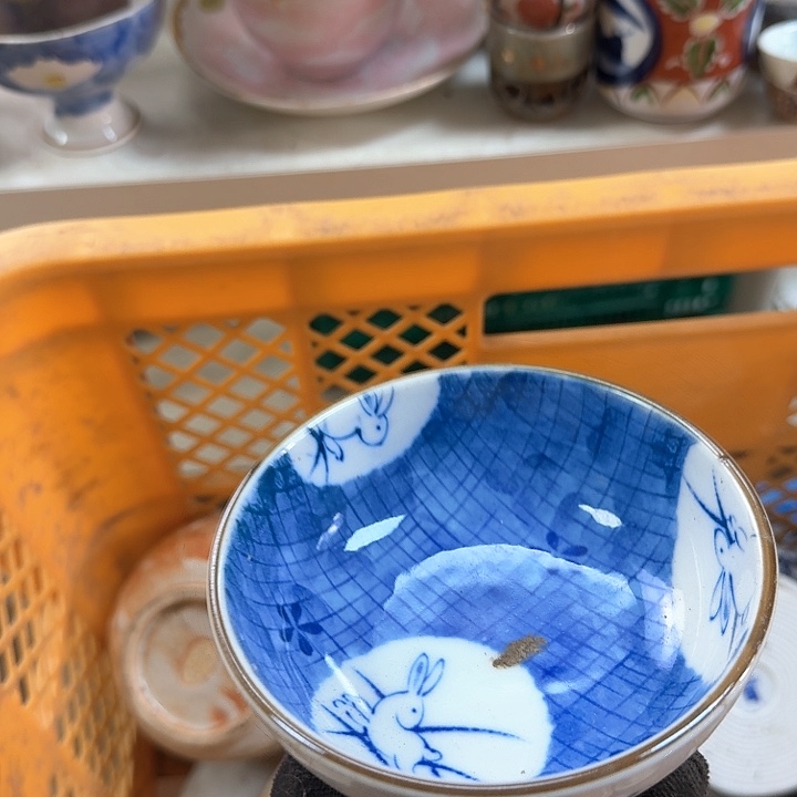 碗开播啦….开播啦