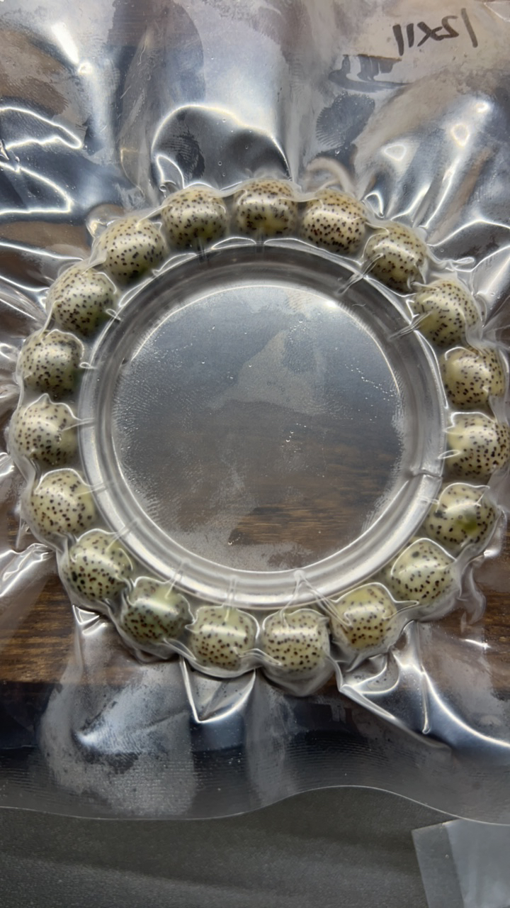 星月菩提纯正海南料手串