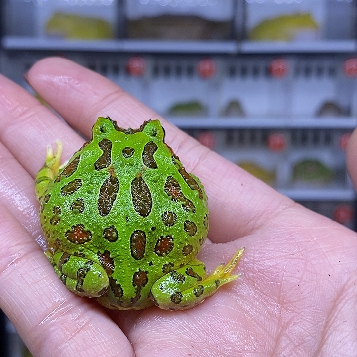 特价秒杀活动地址瑕疵