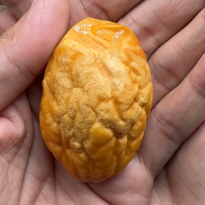 七***树定制琥珀未镶嵌未镶嵌定制琥珀