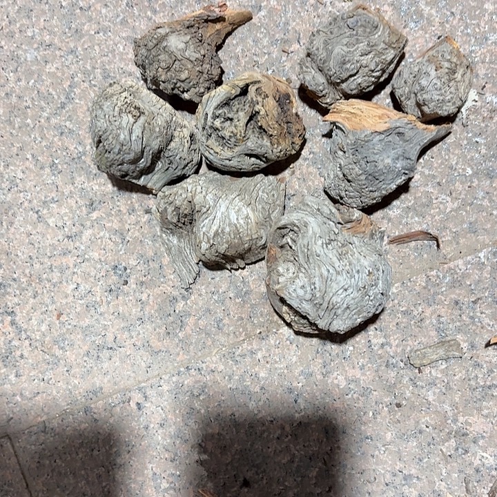 心***私柏木崖柏毛料的加工