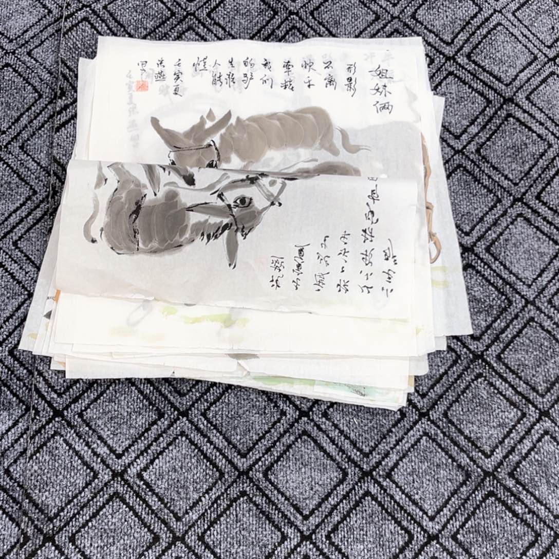 净***拍国画张燕老师三尺斗方花鸟作品