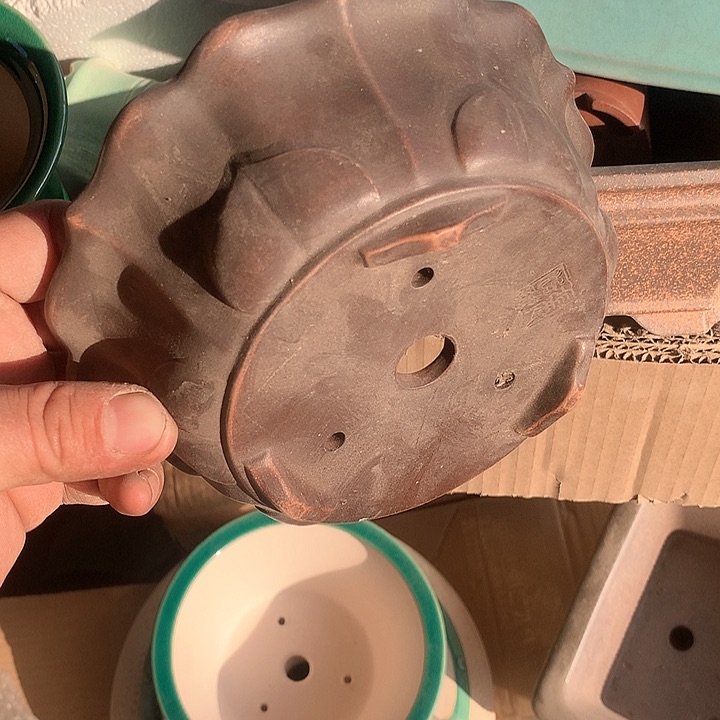 紫砂优秀青年科技学院院长