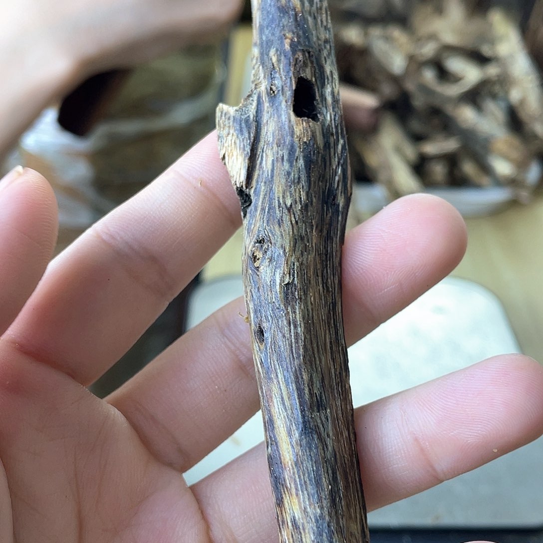 木绿奇楠原材料虫漏6克