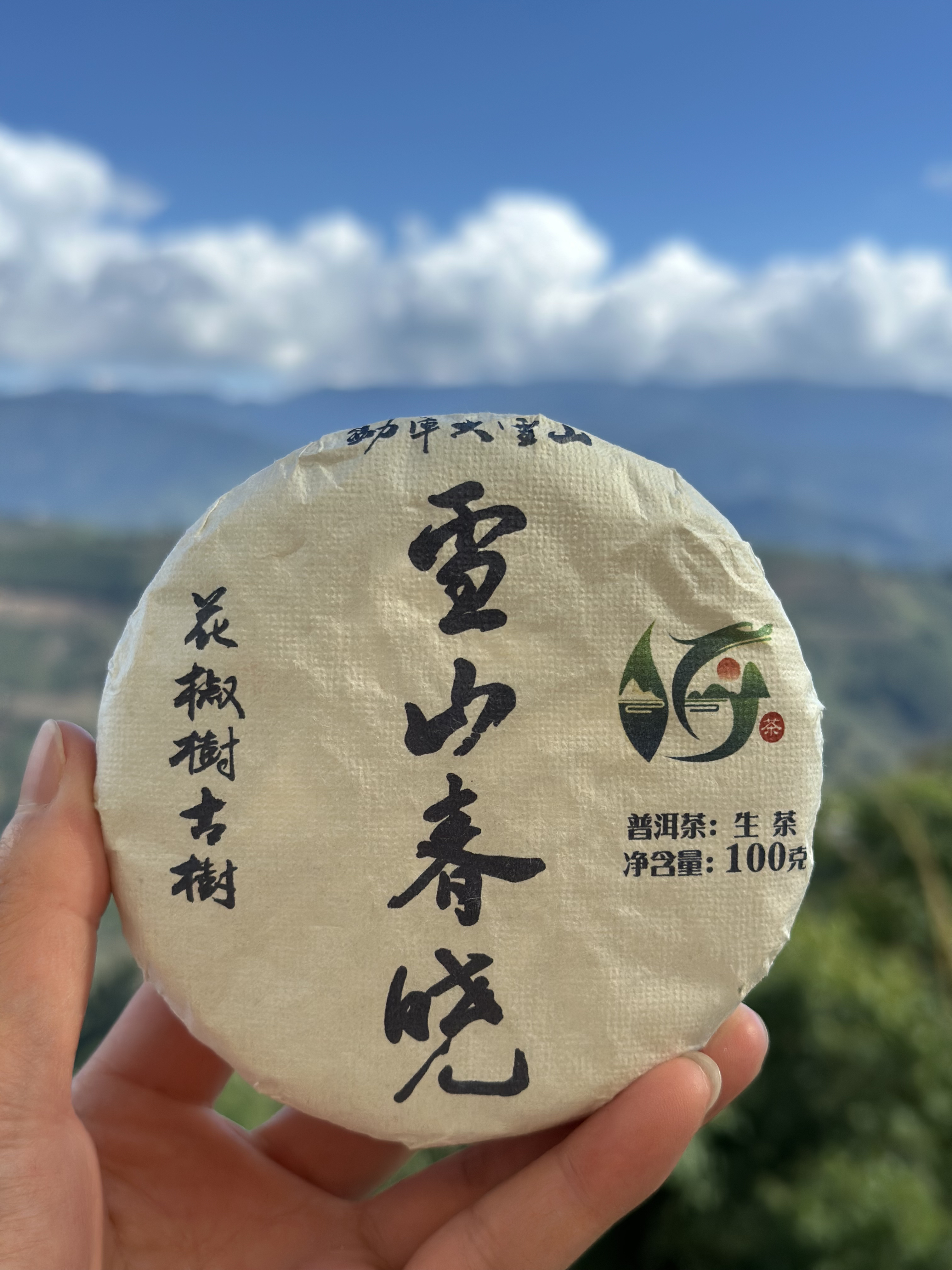 勐库大雪山花椒树古树头春（雪山春晓）纪念款 100克/片 