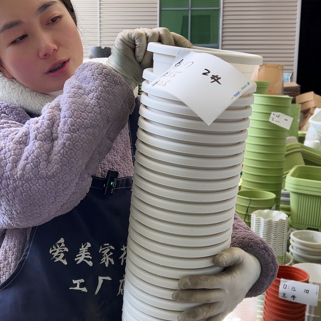 瑕疵四季盆2#白色12个无托