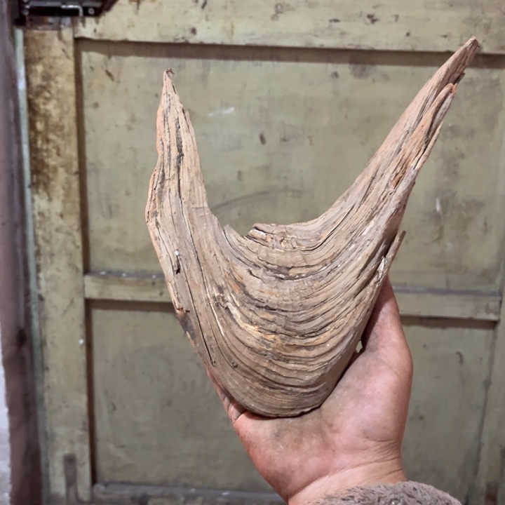 陈***尘柏木我也不知道我为什么要这样