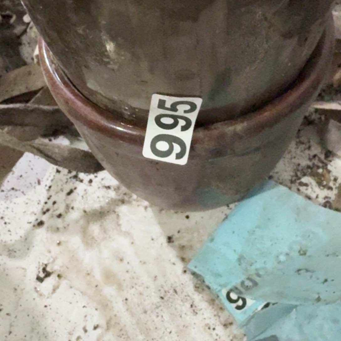 感***悟茶盏好喜欢好可爱哦宝宝抱一下宝宝