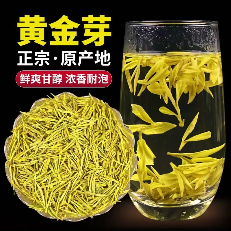 yph 【2025年新茶】手工采摘春茶安吉毛峰黄金芽豆香栗香奶香绿茶