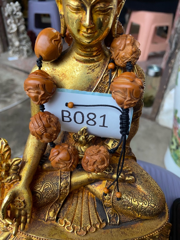 精选商品.替代链接金刚菩提081