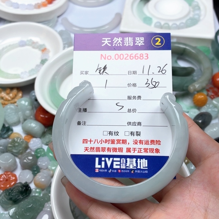 铁***活翡翠未镶嵌挂件yy