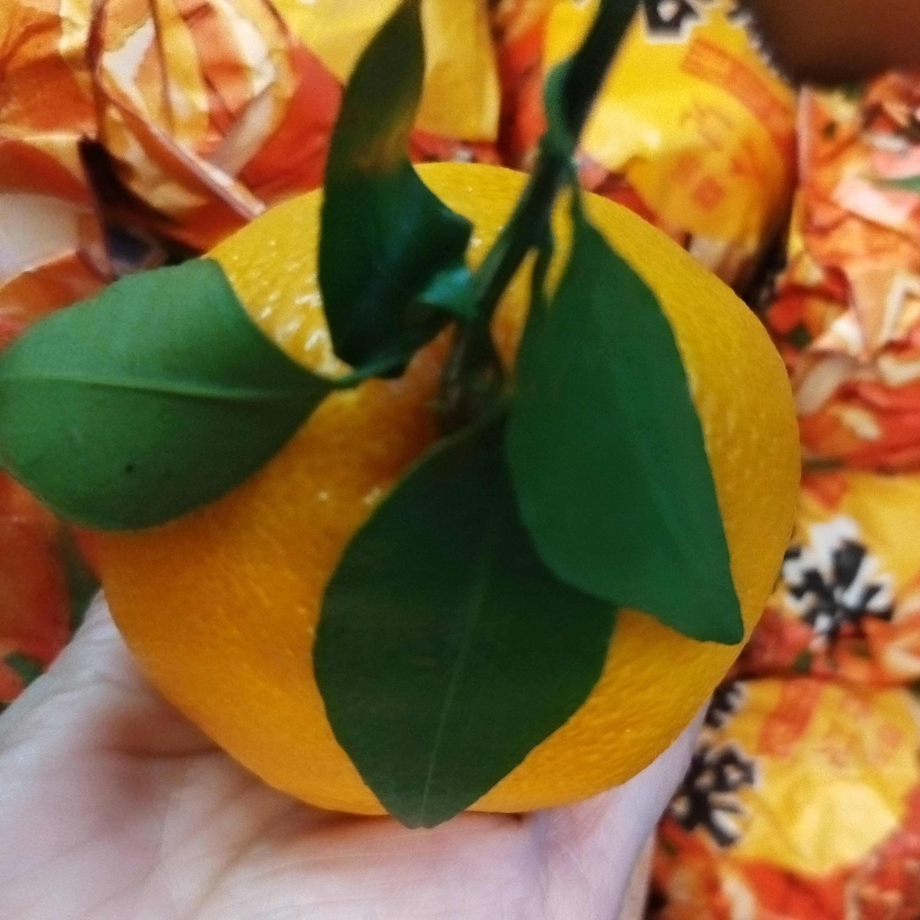 爆浆耙耙柑9.8斤纯甜