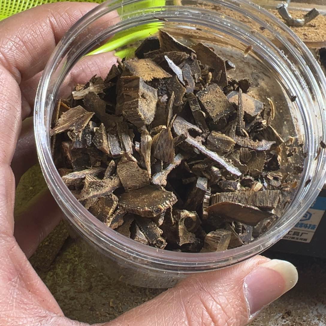 猫**毒高油脂海南产区汝湖品种边角料60克装