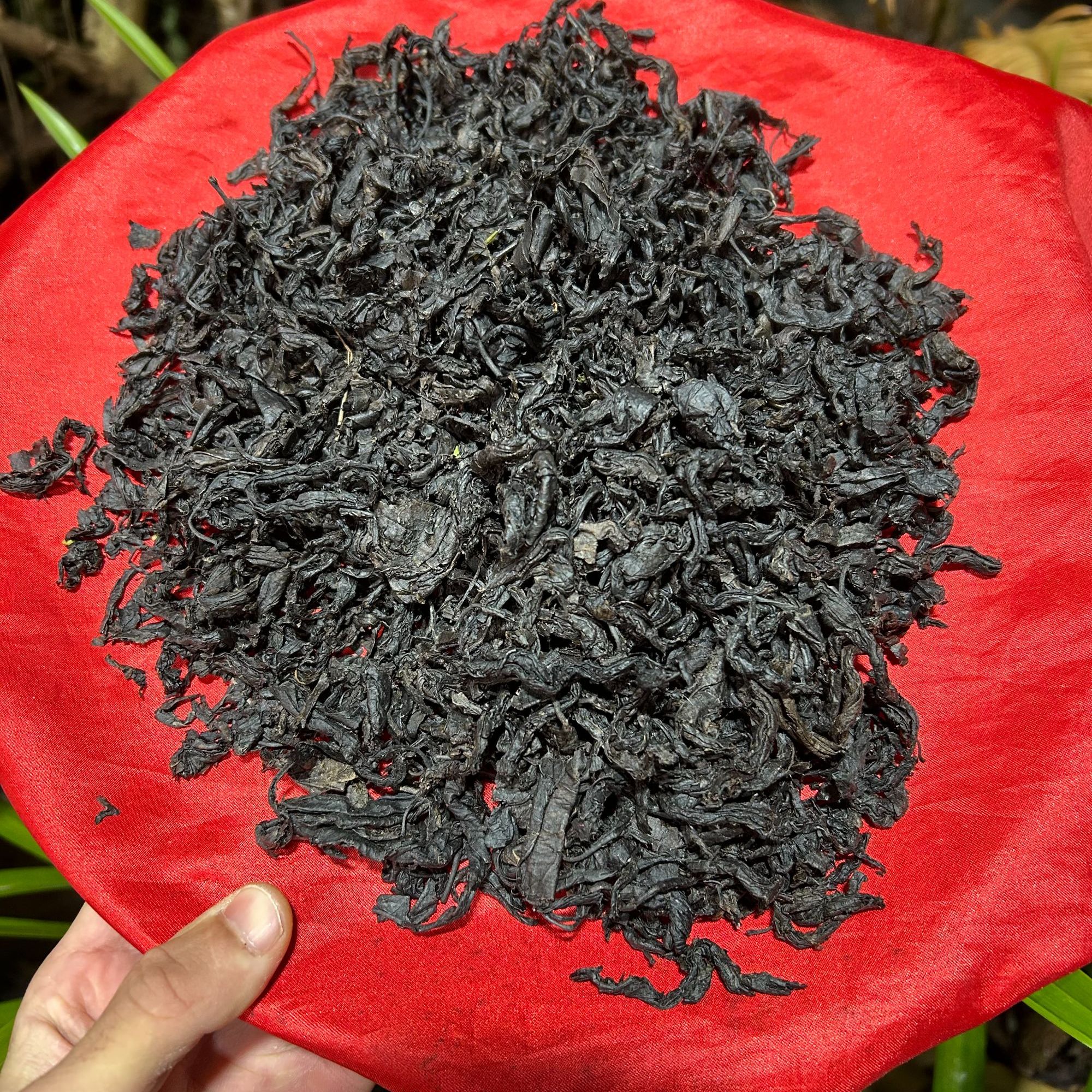 1【保-G-草】净含量100g-1000g 【阿徐现收】菌