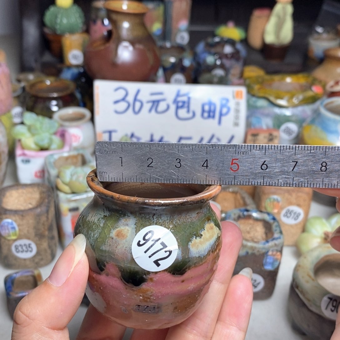 拍5送一个小礼物