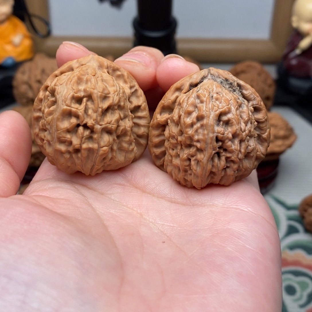 文玩核桃把件36尺白狮子