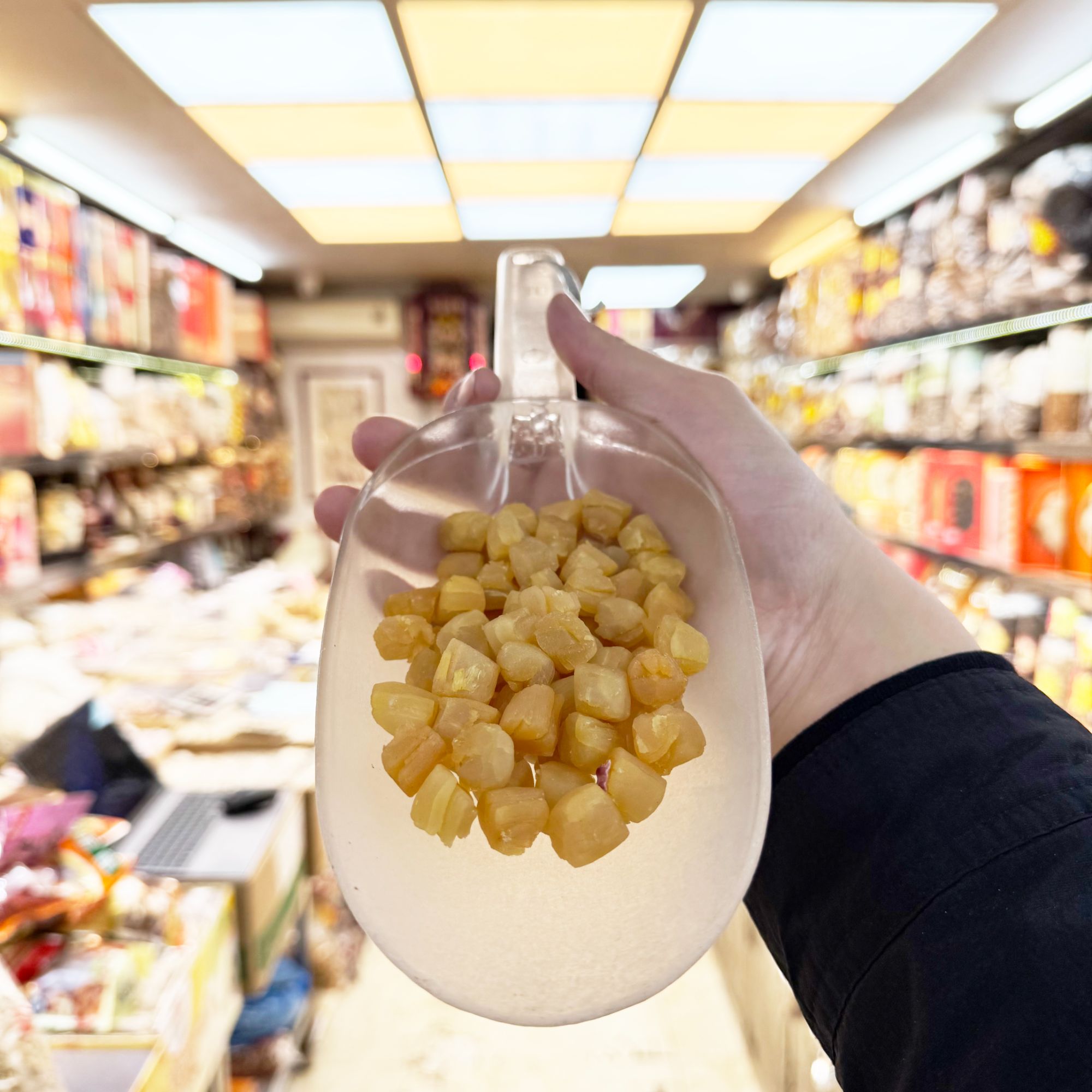 大连瑶柱干贝海味