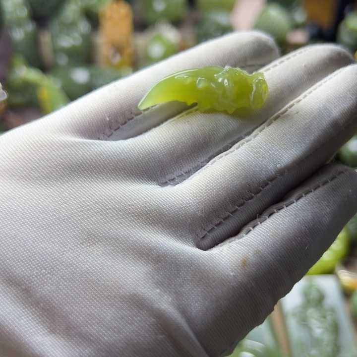 岫岩老玉（透闪石质玉）未镶嵌挂件