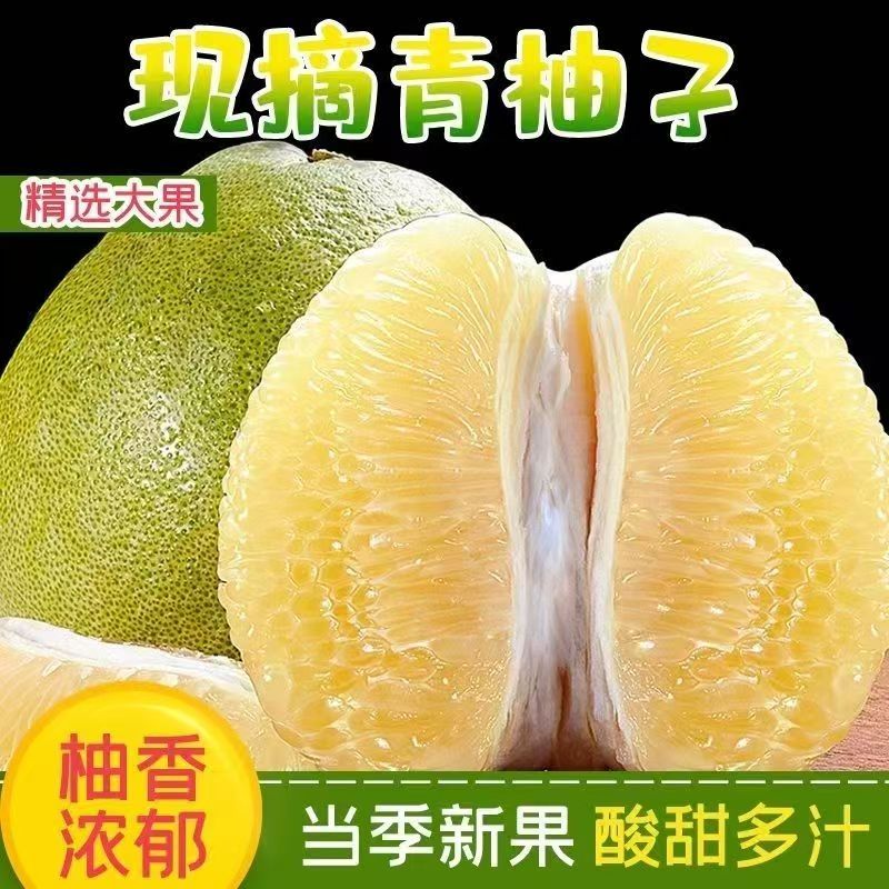 海南水晶蜜柚新鲜现摘果园热带水果白糖柚澄迈酸甜青皮白心柚子