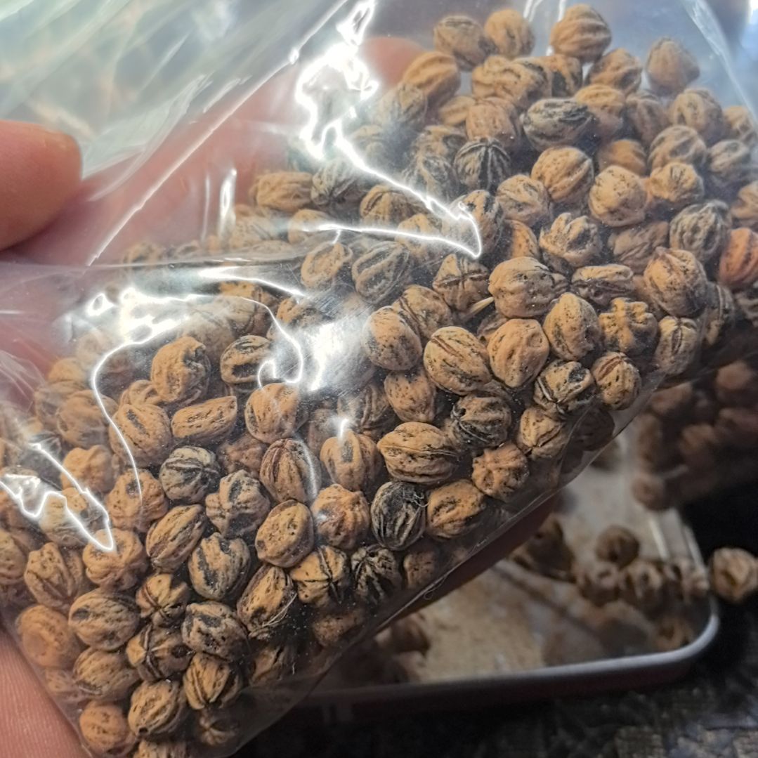 柏香籽/百香籽吊坠