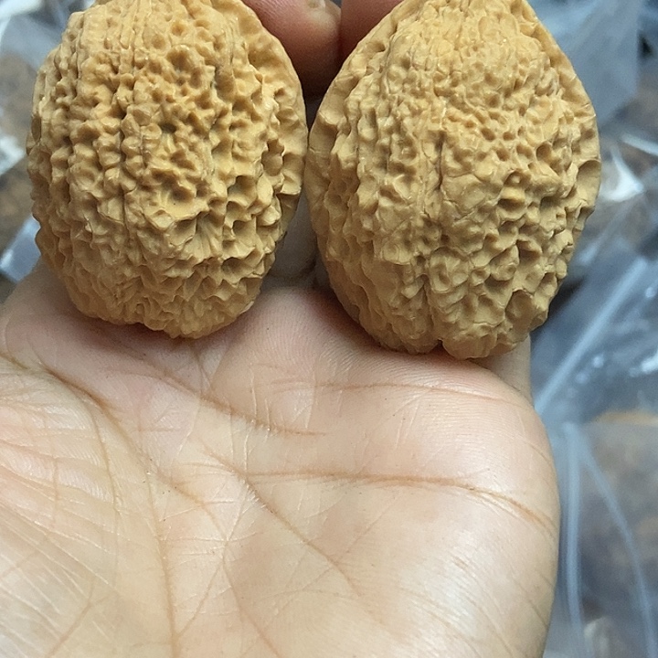 把件文玩核桃云南铁核桃基地81