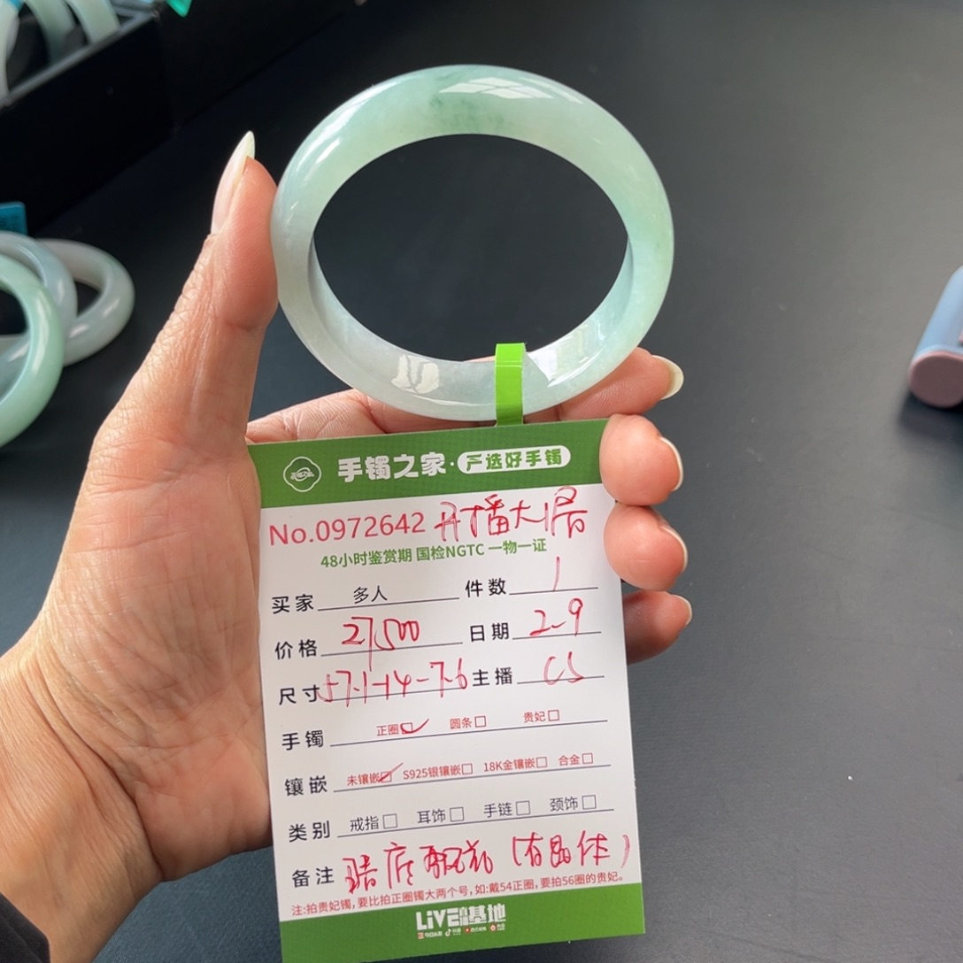 翡翠手镯未镶嵌多人