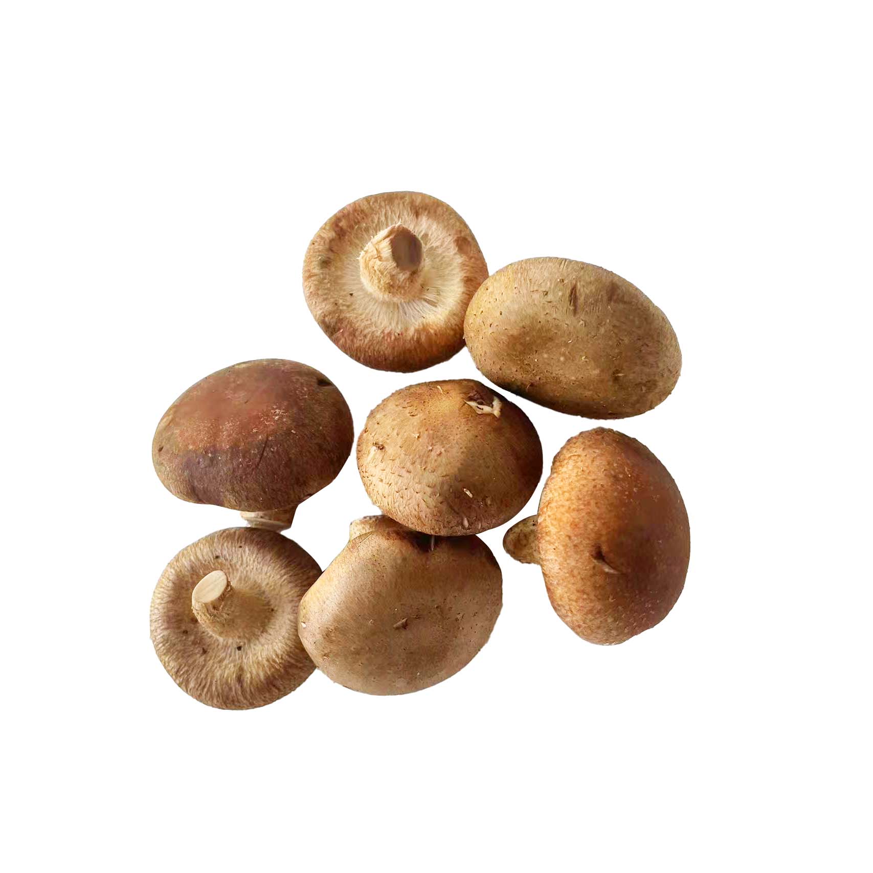 香菇约200g
