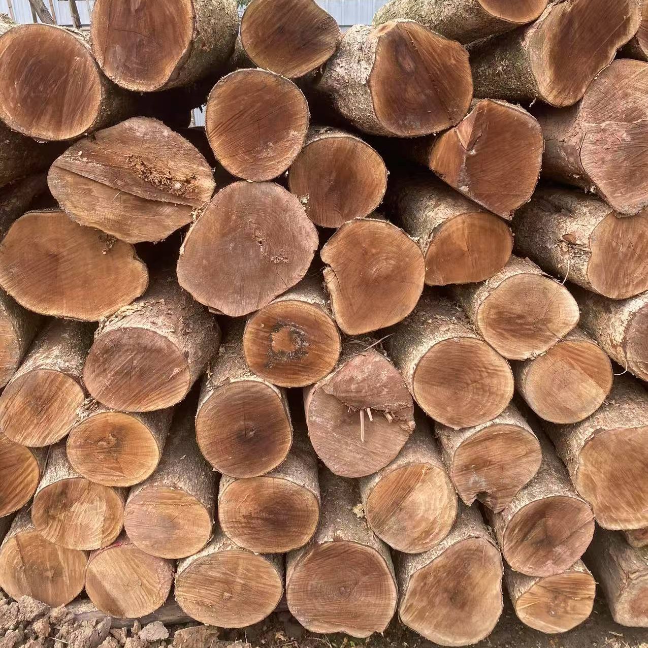 基础建材原木木方木头实木木料