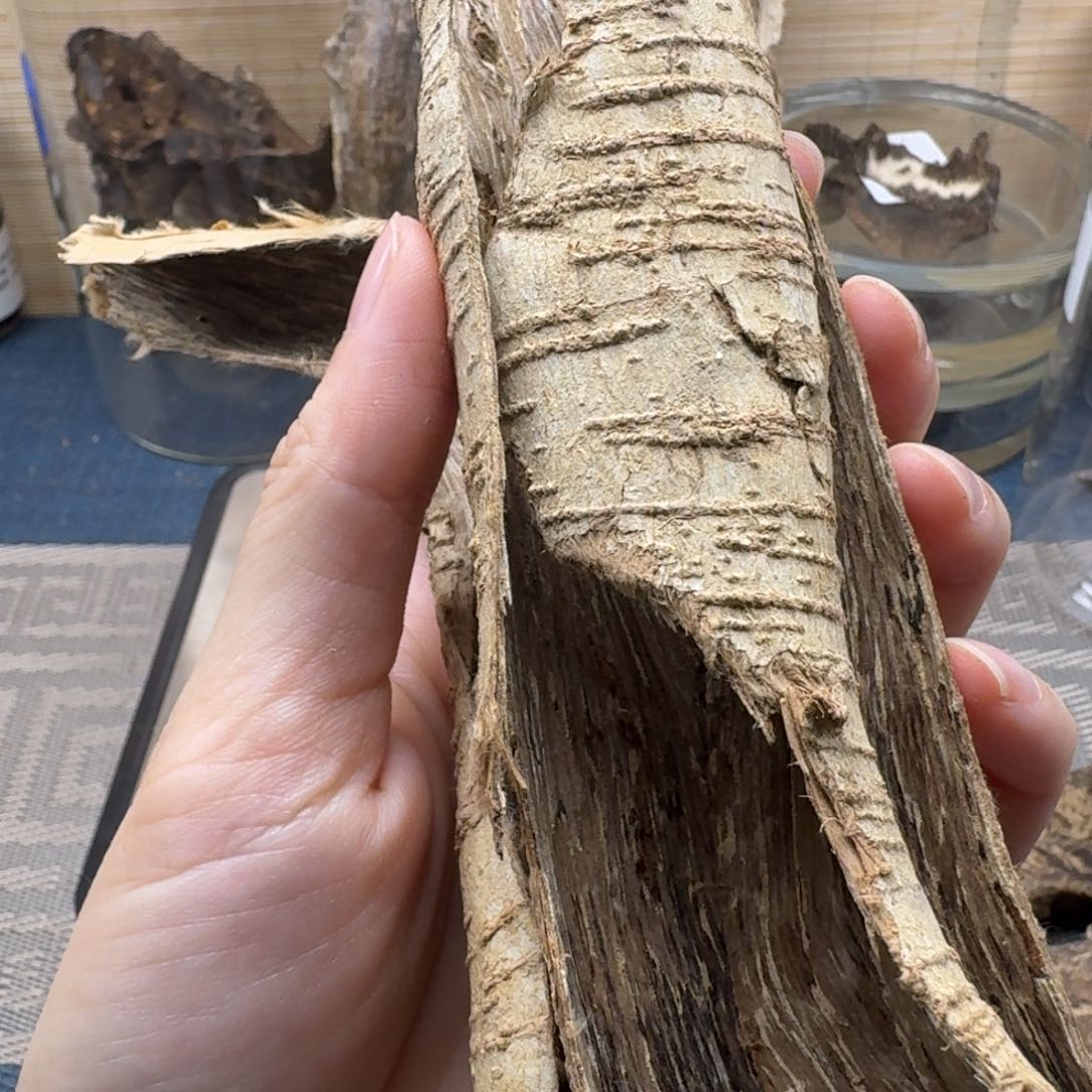 香榧木浩**宇海南大山树根油11克