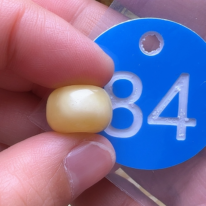 蜜蜡裸石未镶嵌花粉13.8m m