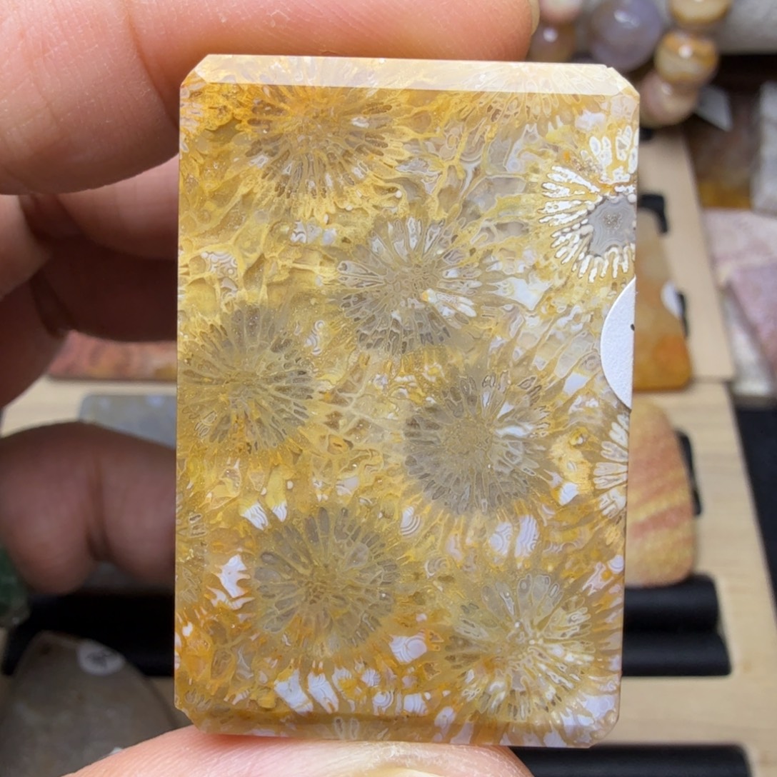 硅化玉未镶嵌纯天然色有机玉石保真色