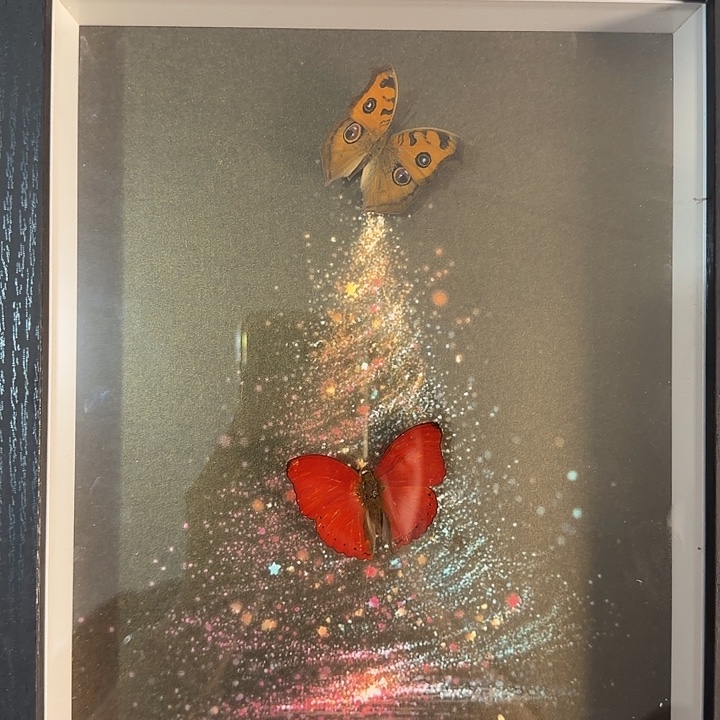 圣诞款192蝴蝶蝴蝶蝴蝶