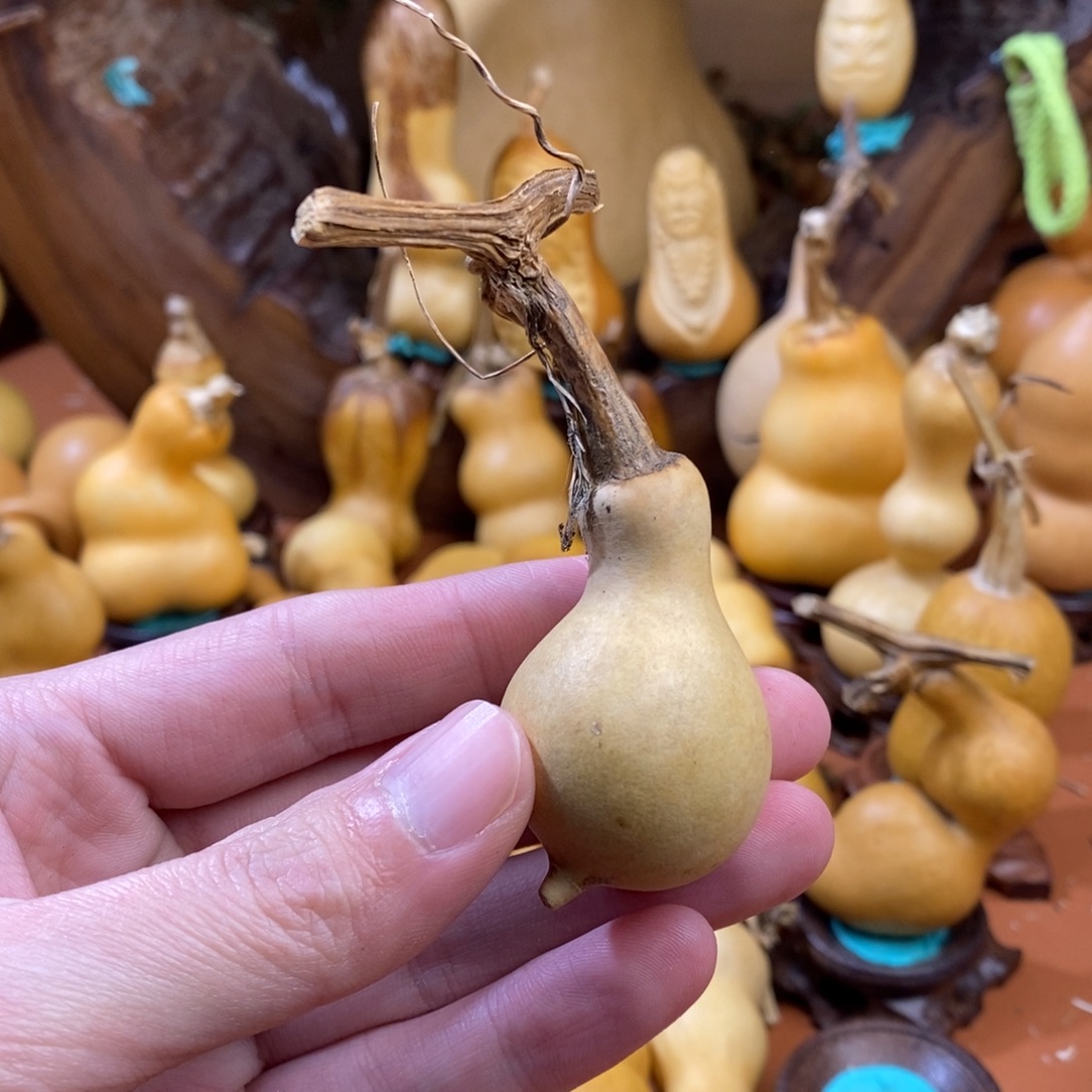 顺***然教练咯哦哦哦哦嘛