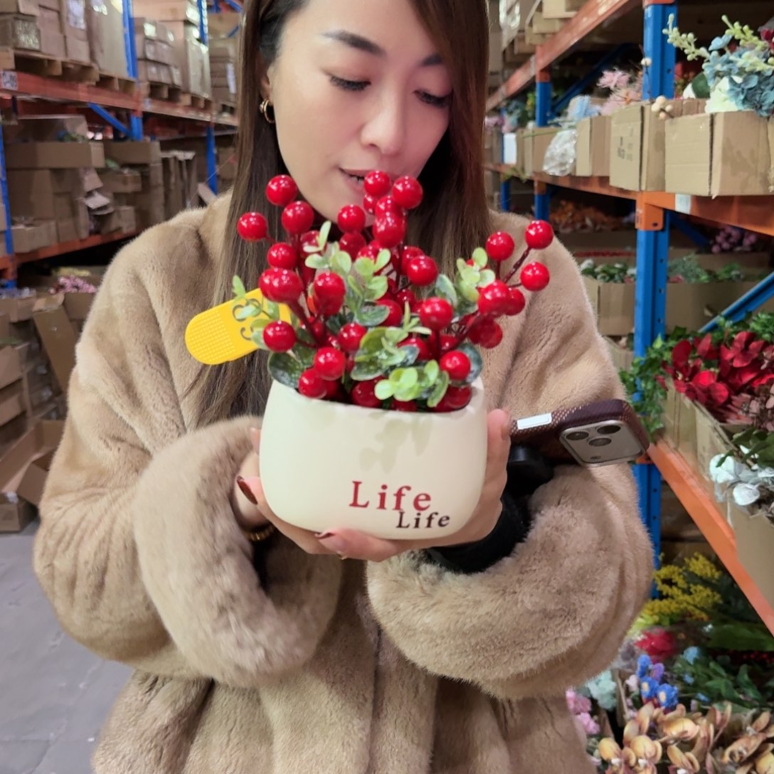 68号「闪购」仿真花，公主请下单