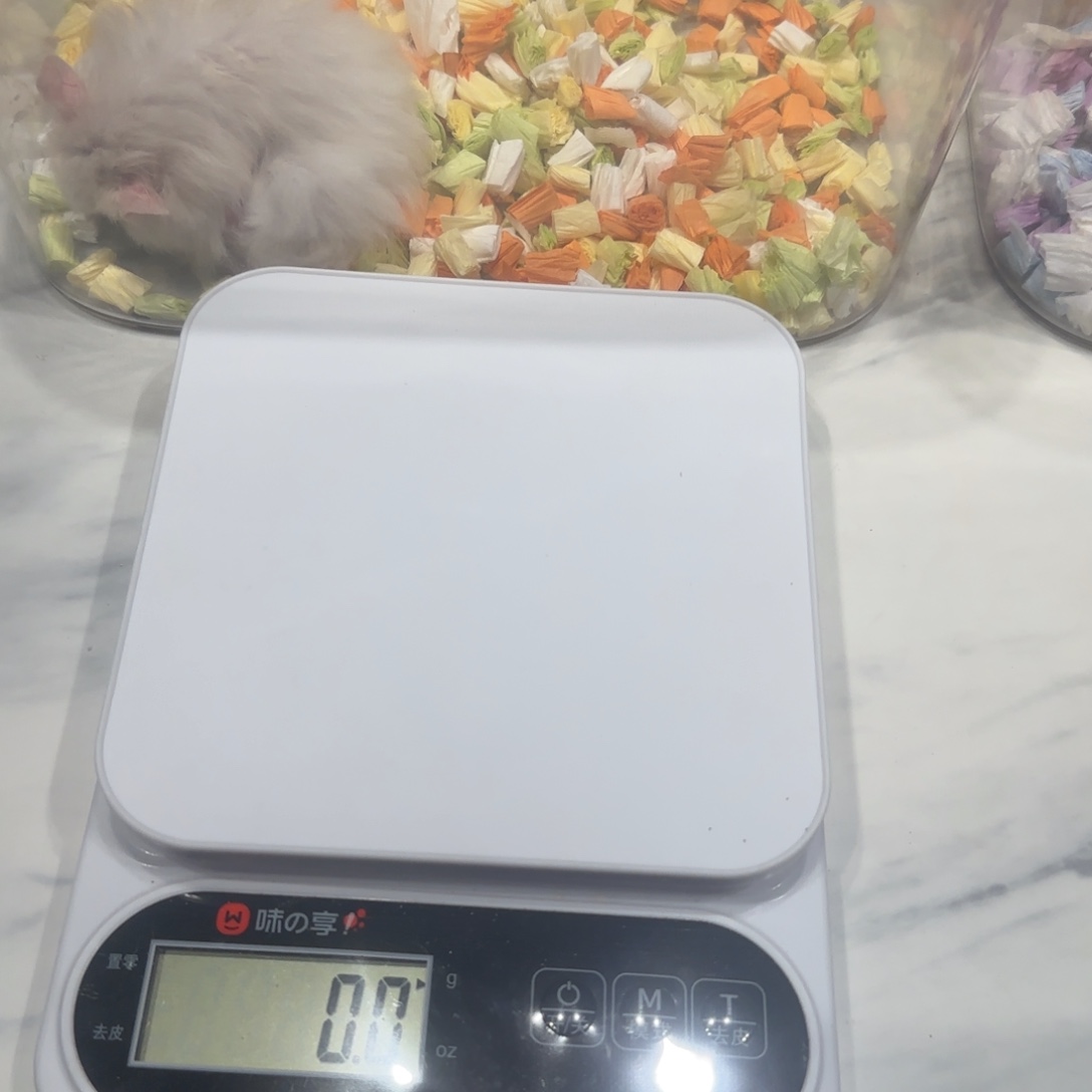 卷毛蜜波利mm包邮