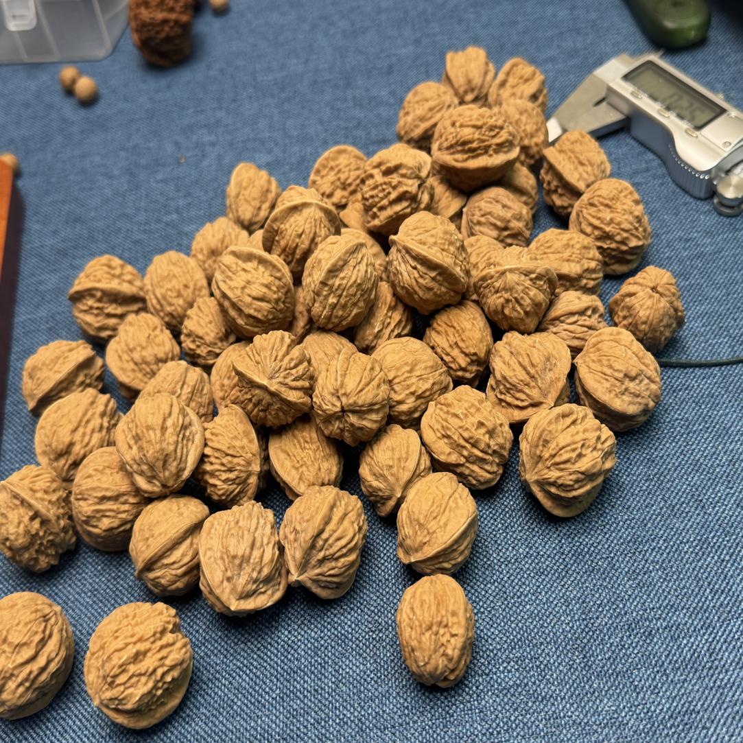 原树嵩山蛤蟆头手捻