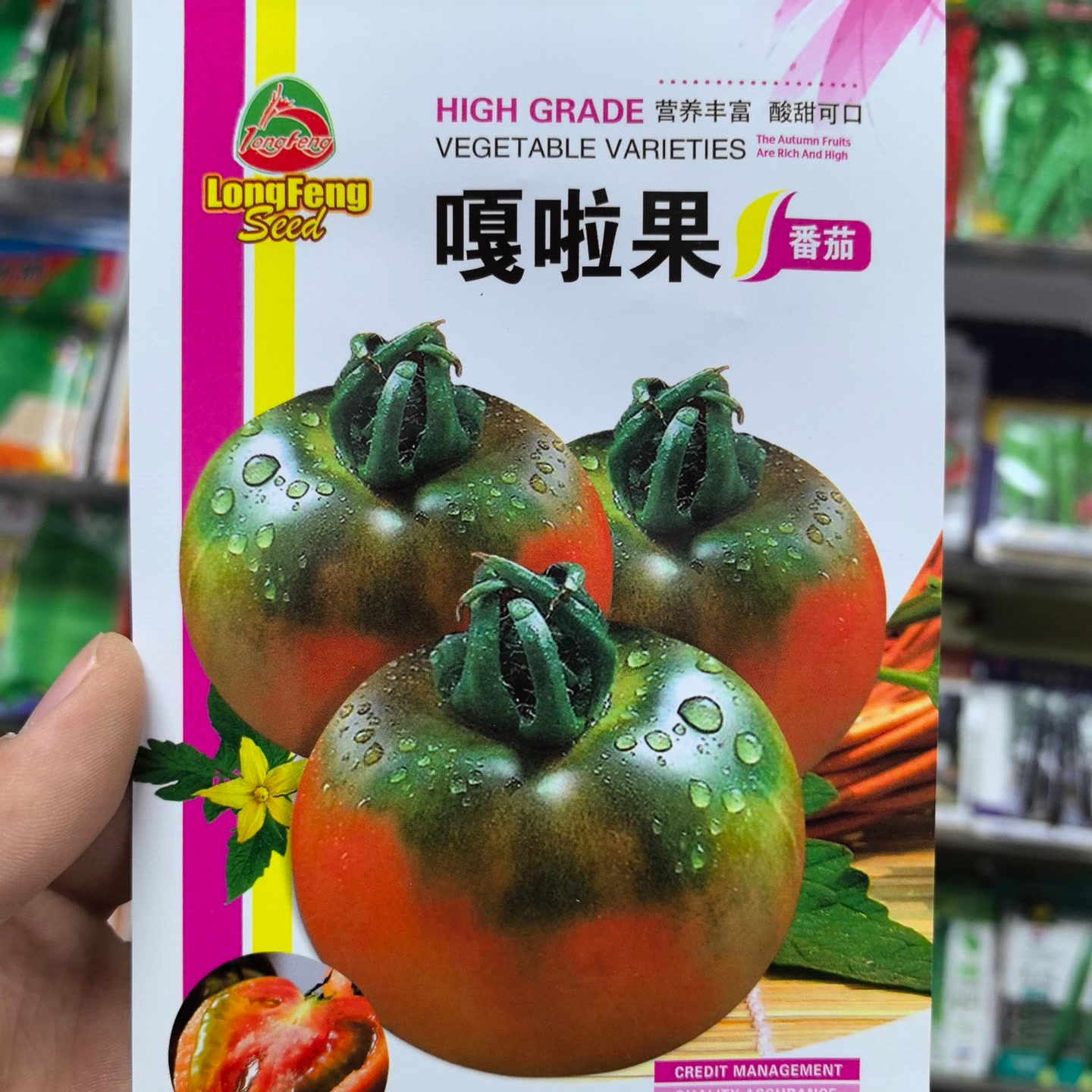 嘎啦果柿子种子（小园种植）