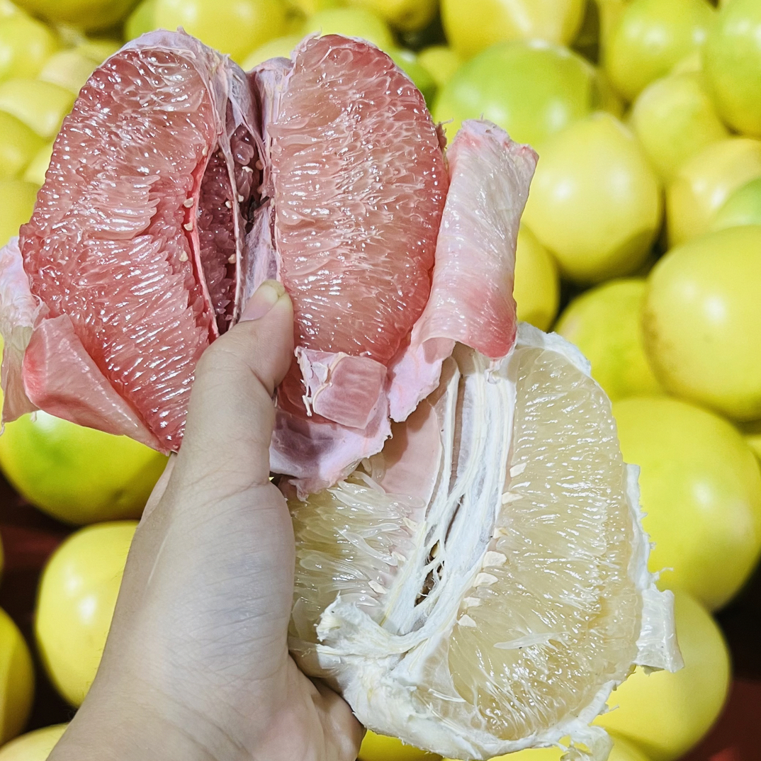 【高山老树梅州红心柚三红柚】当季孕妇水果现摘现发体验装