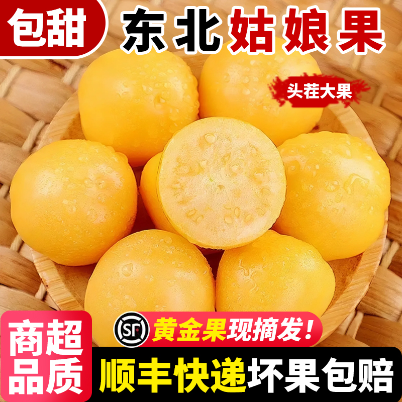 【顺丰快递】东北姑娘果头茬特产新鲜水果甜菇娘应季水果灯笼果
