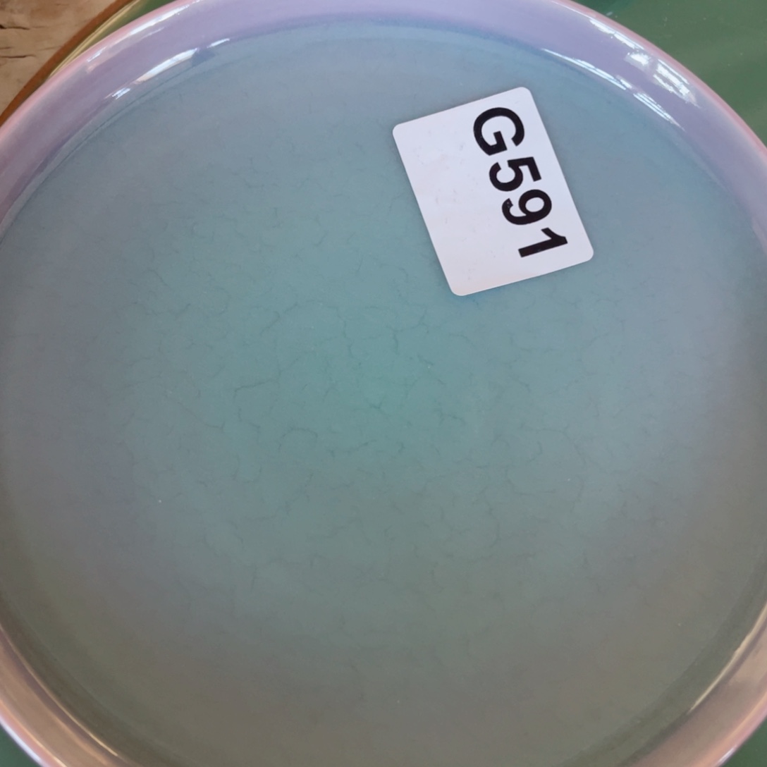 哈哈哈哈哈哈哈哈哈