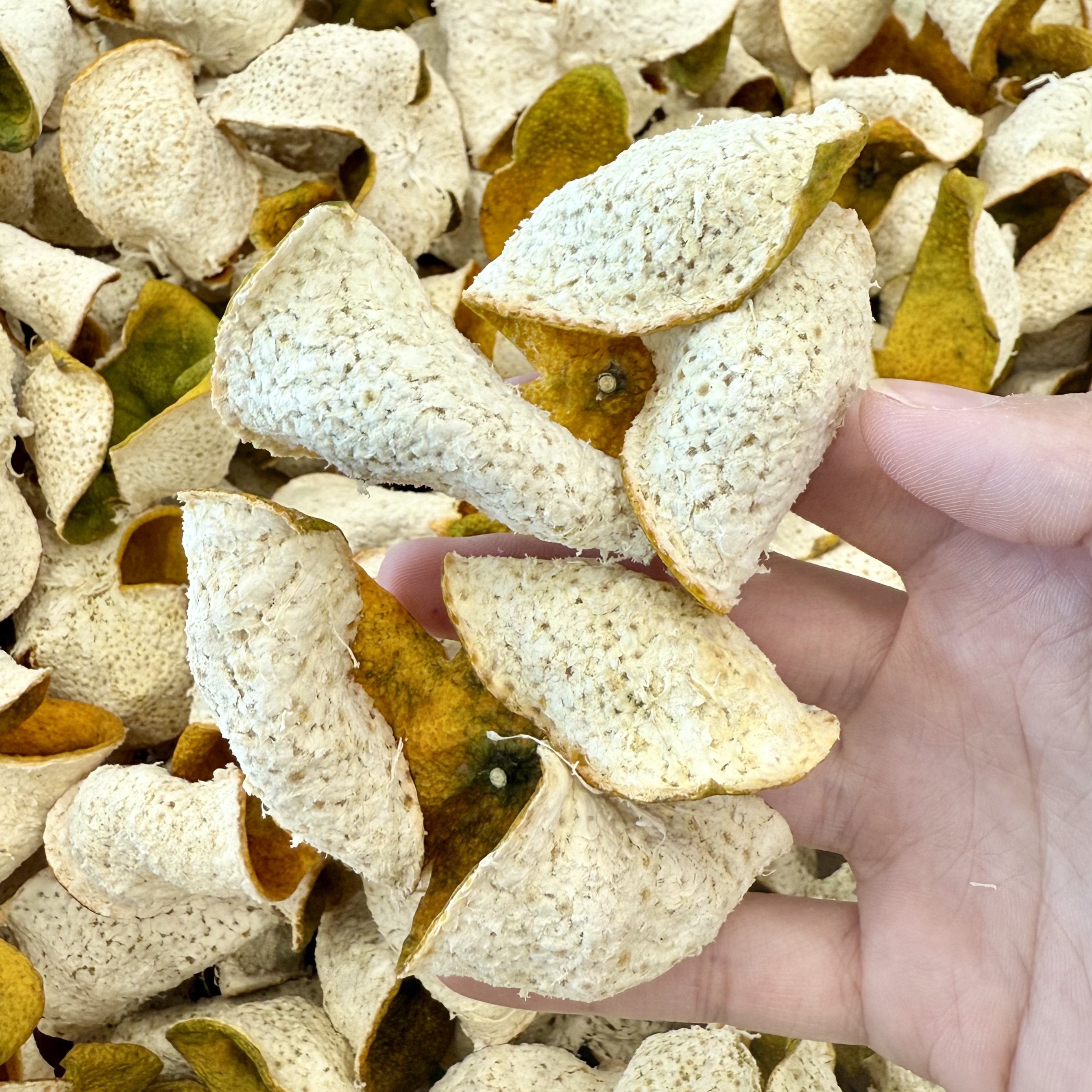 【新上架】2025东甲黄盆围细叶原枝老树二红皮正宗新会陈皮