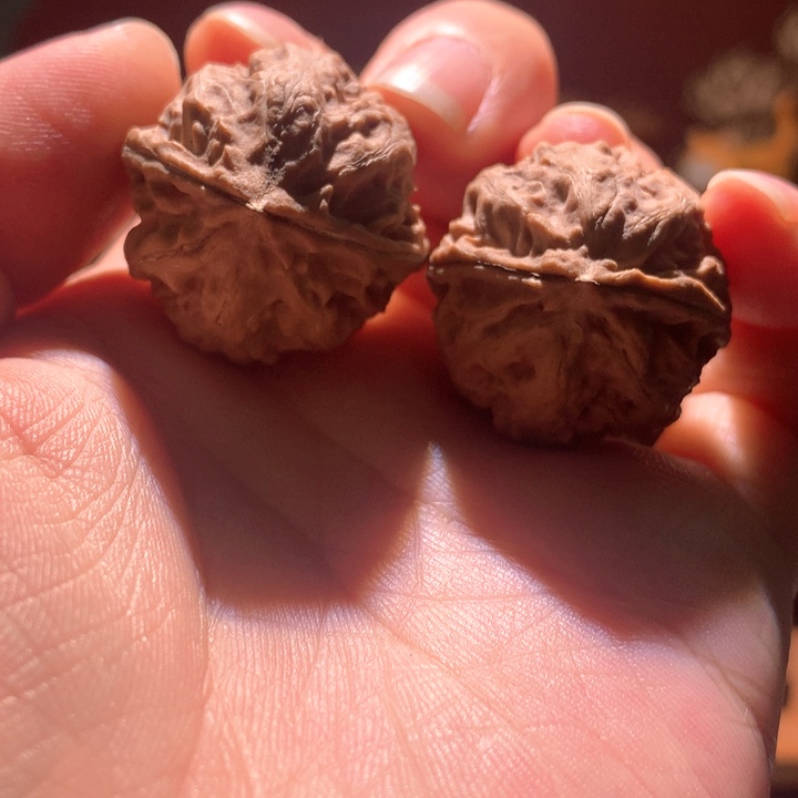 文玩核桃吊坠楸玥核187