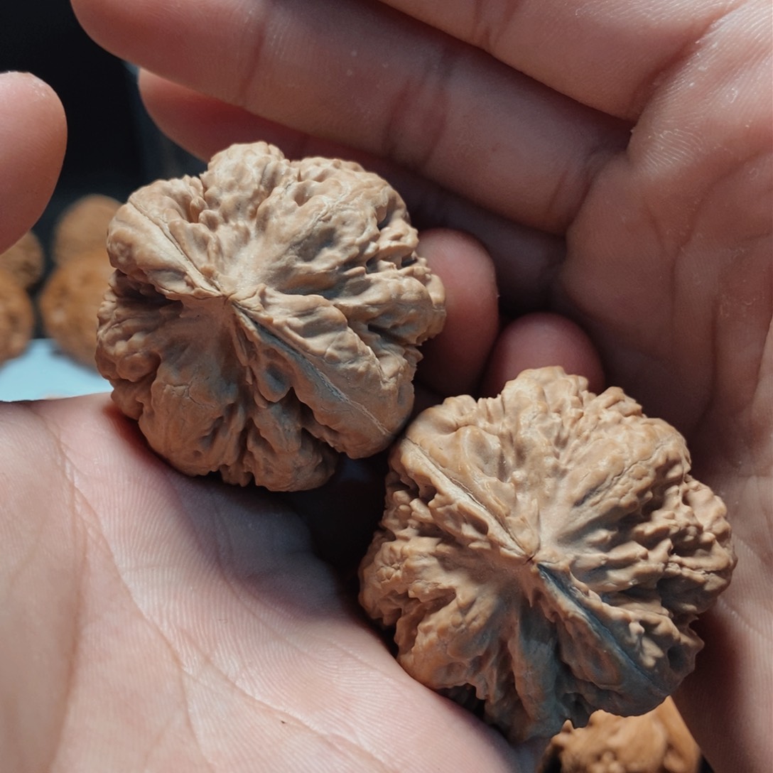 文玩核桃吊坠44全品霸王龙