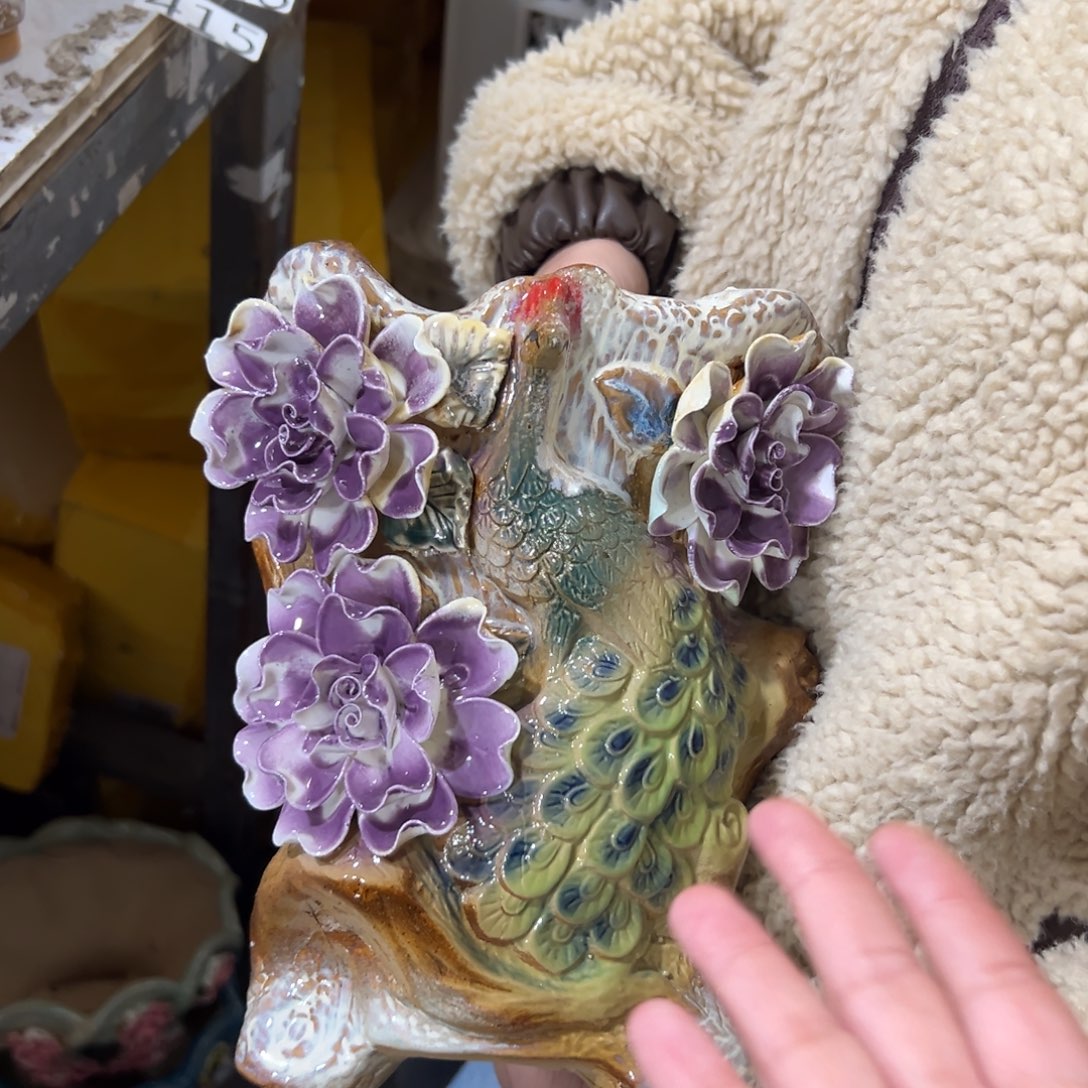 花盆，拍满20发货，退款拉黑