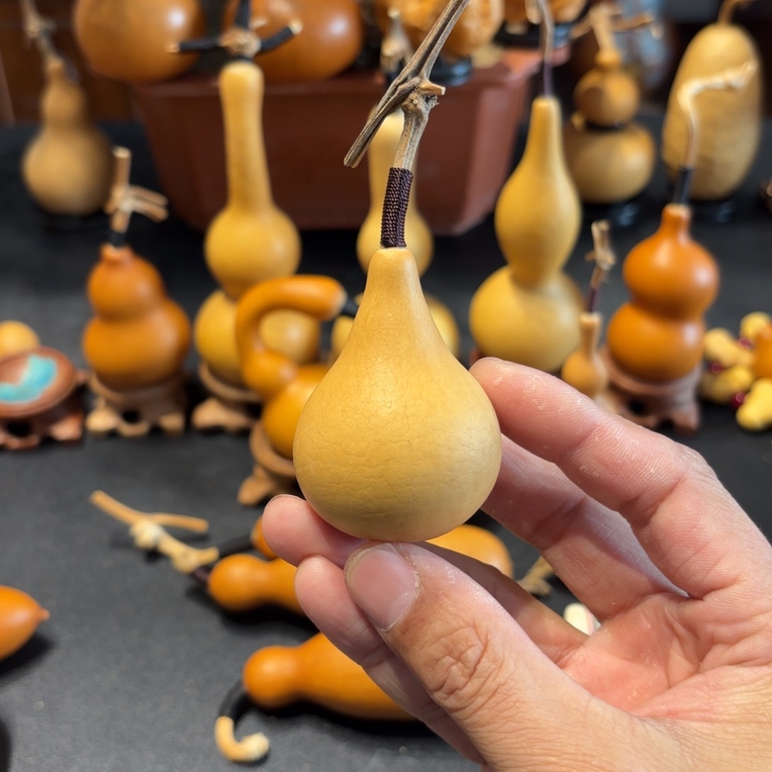 w***先葫芦8888888888888888