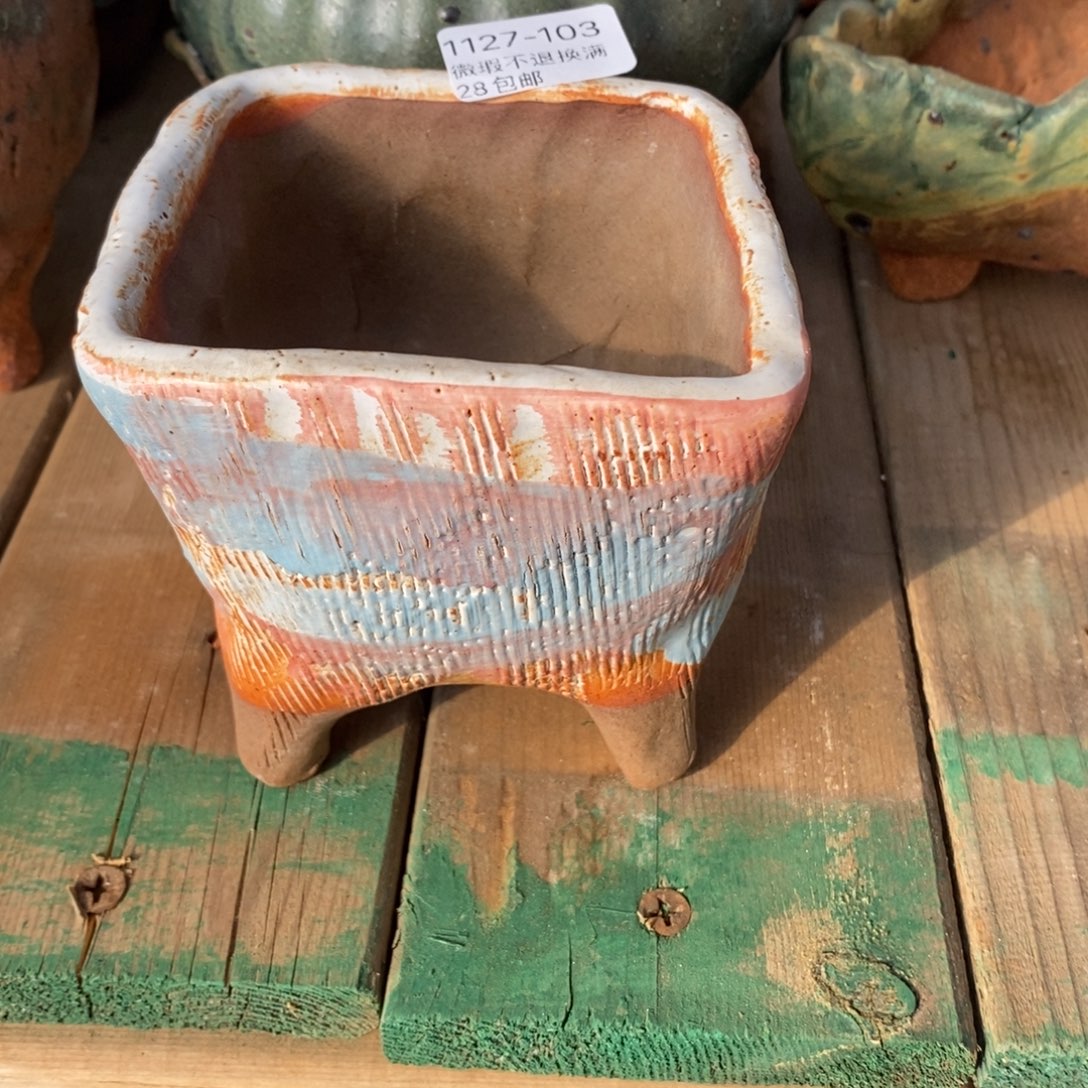 103号多肉盆口径8小可爱